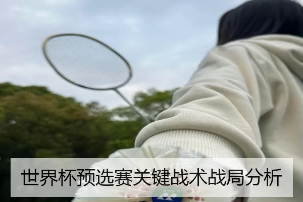 世界杯预选赛关键战术战局分析